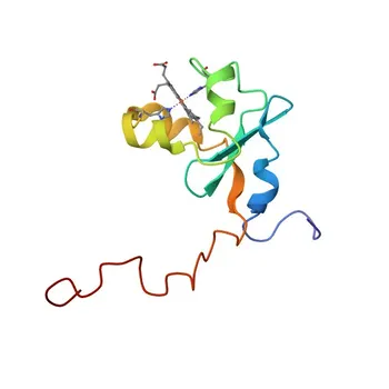 Anticorpo Policlonal de Coelho Anti-CYB5A para WB, IHC-P, IF/ICC e ELISA - P00167
