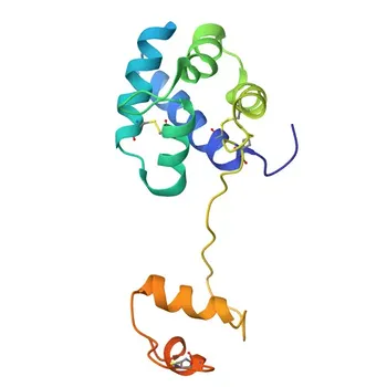 Anti-ARMET/ARP/MANF Kaninchen-poliklonaler Antikörper für WB, IHC-P, IF/ICC, IP, ELISA - P55145