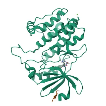 Anti-CAMK1G Polyclonal Antibody for WB, ELISA - Q96NX5
