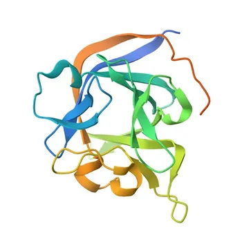 Anti-FGF13 Rabbit Polyclonal Antibody for WB - Q92913