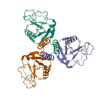 Anti-MBL2 Polyclonal Antibody for WB, IHC-P, ELISA - P11226