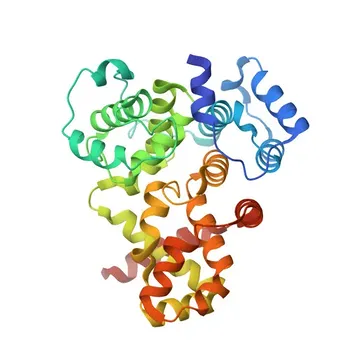 Anti-TBC1D1 Polyclonal Antibody for WB and ELISA - Q86TI0