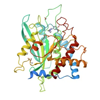 Anti-QPCT Polyclonal Antibody for WB, IF/ICC, ELISA - Q16769