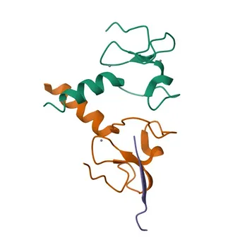 PHF21A Rabbit Polyclonal Antibody for WB and ELISA - Q96BD5