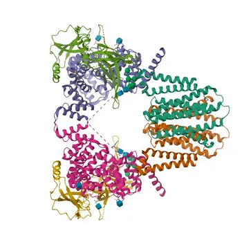 SYVN1 Rabbit Polyclonal Antibody for WB, ELISA - Q86TM6