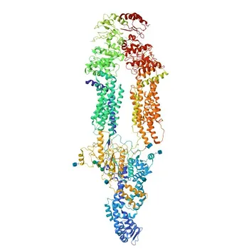 Anti-ABCA1 Rabbit Polyclonal Antibody - O95477