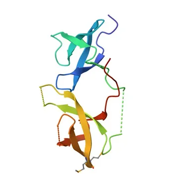 Anti-FXR2 Polyclonal Antibody for WB, IF/ICC, ELISA - P51116