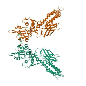 Anti-STAT6 Anticorpo Monoclonal de Coelho para WB, IF/ICC, ELISA - P42226