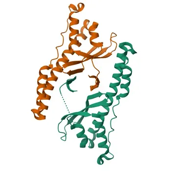 Anti-SEMA4C Polyclonal Antibody for WB, ELISA - Q9C0C4
