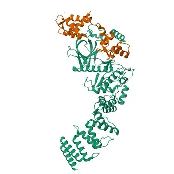 Anticorpo Policlonale Anti-EEF2K per WB, IF/ICC, ELISA - O00418