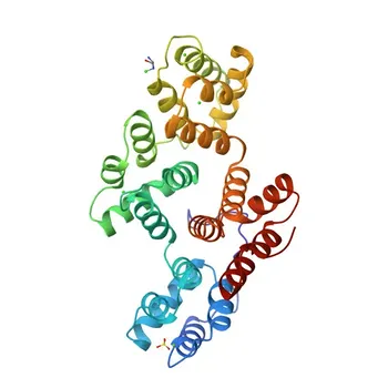 Anti-ANXA3 Polyclonal Antibody for WB - P12429