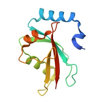 Anti-MAP1LC3A Rabbit Monoclonal Antibody for WB, IP, ELISA - Q9H492