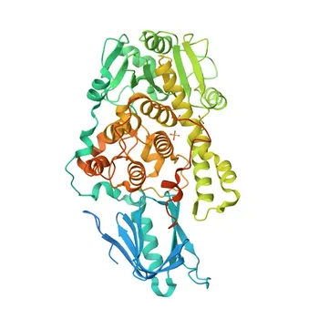 Anti-MTMR2 Rabbit Polyclonal Antibody for WB, ELISA - Q13614