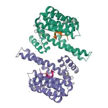 Anti-NOTCH4 Polyclonal Antibody for WB, IF/ICC, ELISA - Q99466