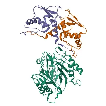 Anti-FBXO22 Rabbit Polyclonal Antibody for WB, ELISA - Q8NEZ5