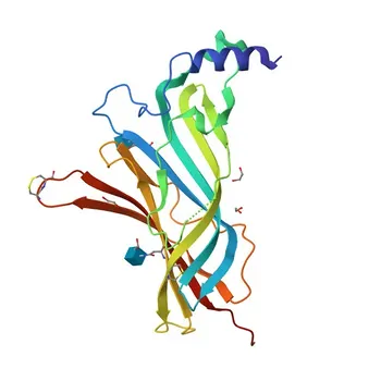 Anti-CHRNA9 Rabbit Polyclonal Antibody for WB, ELISA - Q9UGM1