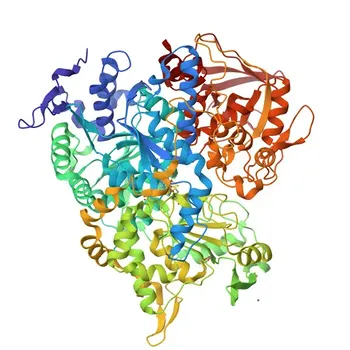 Anti-Aconitase 1 (ACO1) ポリクローナル抗体（WB用） - P21399