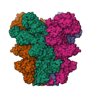Anticorpo policlonale anti-TRPM2 da coniglio per WB, IF-P, ELISA - O94759