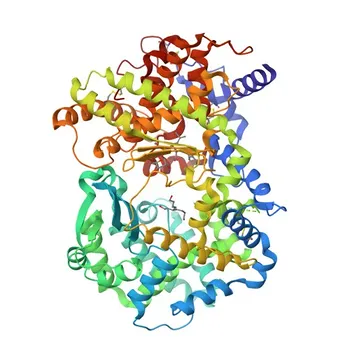[KO-validiert] Anti-ECE1 Kaninchen-Polyklonaler Antikörper für WB, IHC-P, IF/ICC, ELISA - P42892