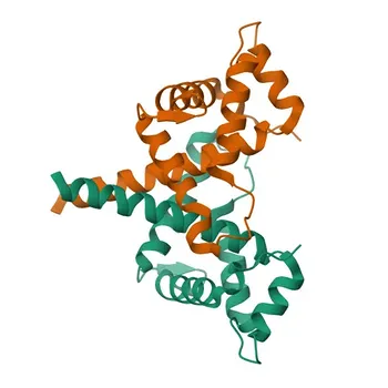 Anticorpo Policlonale Anti-CAPRIN1 per WB, IF/ICC, ELISA - Q14444