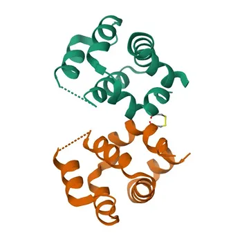 Anti-CARD11 Rabbit Polyclonal Antibody for WB, IF/ICC, ELISA - Q9BXL7