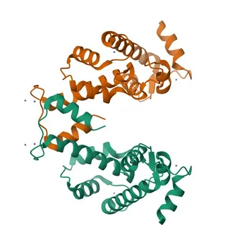KO Validated Anti-PDCD6 Polyclonal Antibody (ALG2) for WB, IP, ELISA - O75340