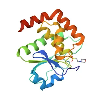 Anti-DUSP22-Polyklonaler Antikörper für WB, IF/ICC, ELISA - Q9NRW4
