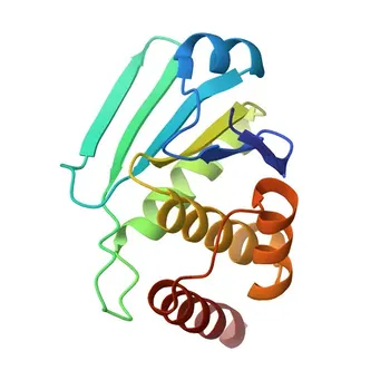 Anticorpo policlonale anti-DUSP9 (MKP-4) per WB, IF/ICC, ELISA - Q99956