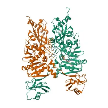 Anticorpo policlonale anti-SMCHD1 per WB, IF/ICC, ELISA - A6NHR9