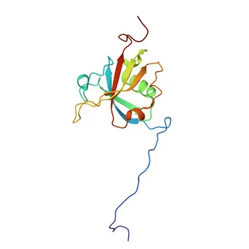 SAP18 Rabbit Polyclonal Antibody for WB, IHC-P, ELISA - O00422