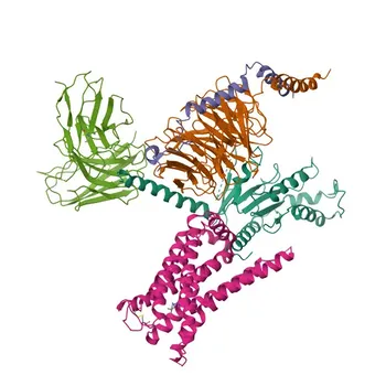 Anticorps polyclonal anti-ADRA2B pour WB et ELISA - P18089
