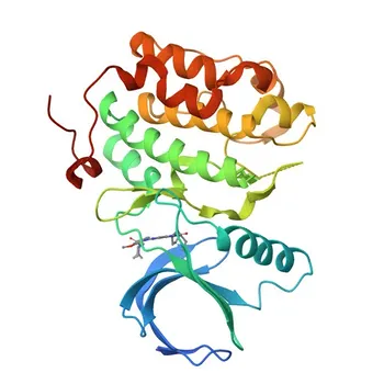 Anti-PLK2 Rabbit Polyclonal Antibody for WB, IF/ICC, ELISA - Q9NYY3