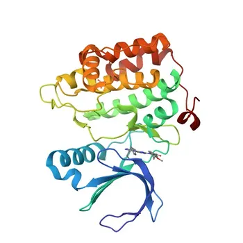 Anti-PLK3 Polyclonal Antibody for WB, ELISA - Q9H4B4