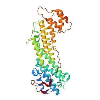 MYO5A Rabbit Polyclonal Antibody for WB, ELISA - Q9Y4I1