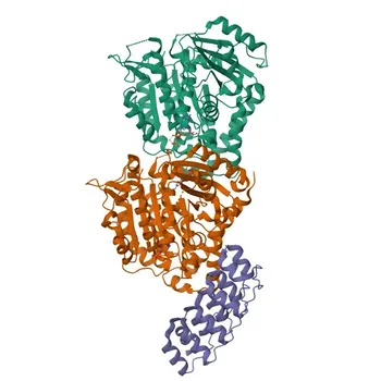 Anticorpo Monoclonal Anti-βIII-Tubulina para IF, IHC, ELISA - Q13509