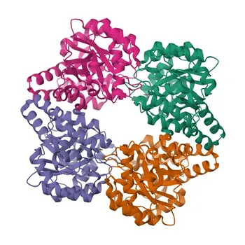 Anti-NPL Rabbit Polyclonal Antibody for WB, ELISA - Q9BXD5