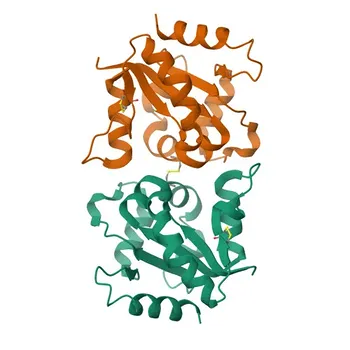 Anti-TLR6 Rabbit Polyclonal Antibody for WB, IF/ICC, ELISA - Q9Y2C9