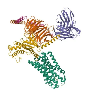 Anti-TAC3 Rabbit Polyclonal Antibody for WB, IF-P, ELISA - Q9UHF0