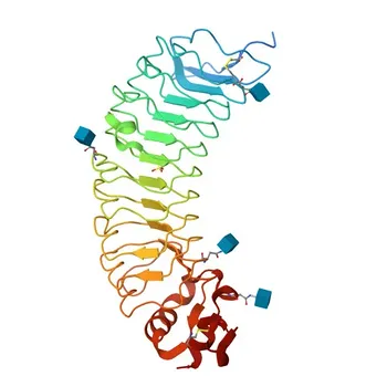 Anticorpo Policlonale di Coniglio Anti-LRG1 per WB, IF-P, ELISA - P02750