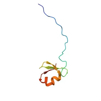 Anti-TRIM41 Polyclonal Antibody for WB and ELISA - Q8WV44