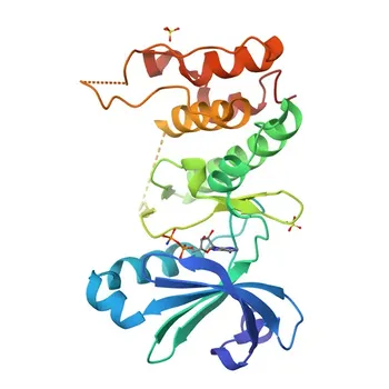 Anti-PLK4 Polyclonal Antibody for WB and ELISA - O00444