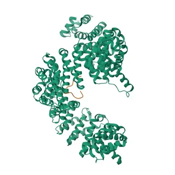 Anticuerpo Policlonal Anti-TNPO1 para WB, ELISA - Q92973