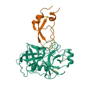 Anticorpo Policlonal Anti-TFPI2 para WB, IHC-P, ELISA - P48307