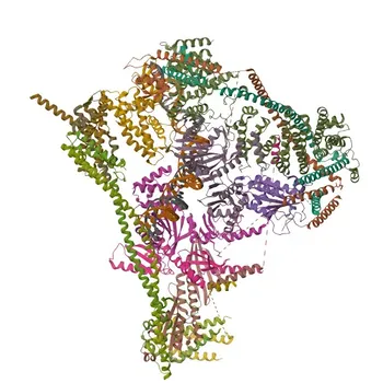 Anti-APITD1 pAb de coelho - Q8N2Z9