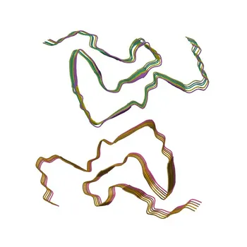 α-Synuclein Rabbit pAb - P37840