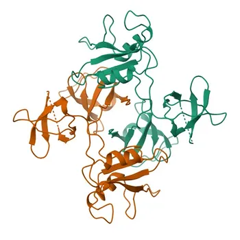 Anti-GRB2 Polyclonal Antibody for WB, IF/ICC, ELISA - P62993