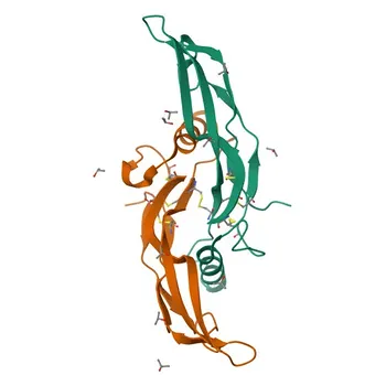 Anti-BMP6 Polyclonal Antibody for WB and ELISA - P22004