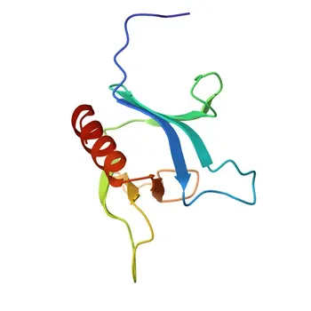 Anti-DNM2 Polyclonal Antibody for WB, IF/ICC, ELISA - P50570