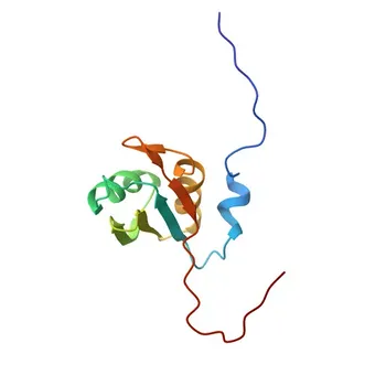 Anti-TIAL1 Polyclonal Antibody for WB, IHC-P, ELISA - Q01085