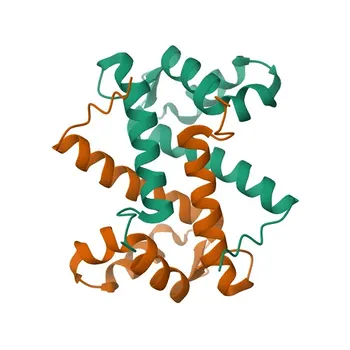 Anti-S100A11 Rabbit Polyclonal Antibody [KO Validated] for WB, IF/ICC, IP, ELISA - P31949